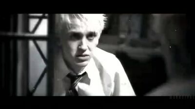 Dramione | Draco Malfoy | Hermione Granger | Harry Potter vine
