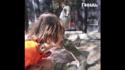 Мама вышла за порог и застыла в шоке! Я думал, такое бывает только у Диснея