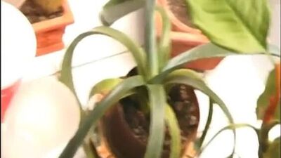 Девушка учиться принимать золотой дождь
