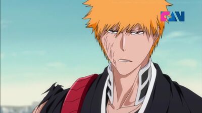 365 серия Блич / Bleach, (FAN)