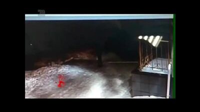 В Магнитогорске продолжаются поиски сексуального маньяка. Серийным насильником может быть инвалид
