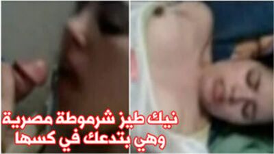 نيك طيز شرموطة مصرية وهي بتدعك في كسها - سكس مصري
