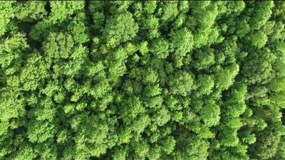Video by Аудио Рассказы. Истории измен. Истории из жизни