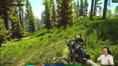 52 lvl. Пожилой Вал-Мэн , Жаба зеленая