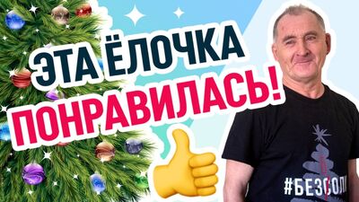 Елочка понравилась! Поздравление с Новым годом от Вячеслава Степановича #безсоли
