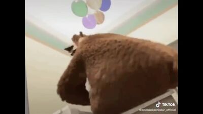 ЗОО ПОРНО С МЕДВЕДЕМ В HD КАЧЕСТВЕ РУССКИЙ МУЖИК ВЫЕБАЛ МЕДВЕДЯ В ЖОПУ И СЛАДКО КОНЧИЛ В АНАЛ