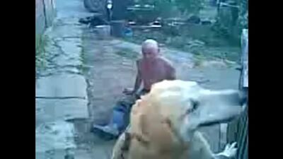 Сука, давно так не ржал... ))) : бобик , іди на хуй !!! _ )))