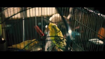 Натали Дормер (Natalie Dormer sex scenes in "Rush" 2013)