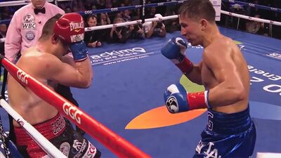 Gennady Golovkin vs. Marco Antonio Rubio Highlights 2015