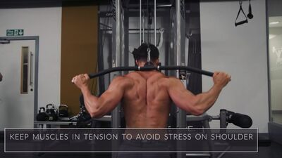 Exercise Anatomy Back Workout Pietro Boselli