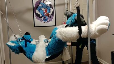 Fursuit yiff #11