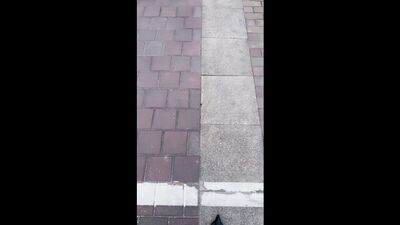 丹祖宗_ 户外调教女奴