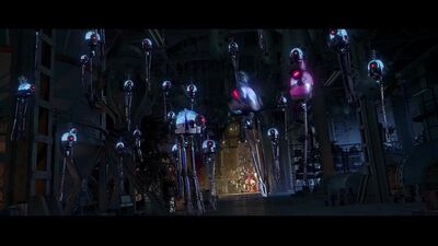 Мегамозг 2010 - Черная Мамба!