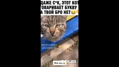 Картавый парень учит кота говорить букву Р