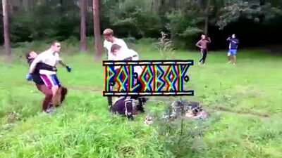 ㄠ progib | poloboy