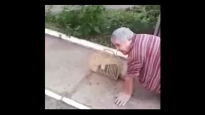 Частично парализованная бабушка ползком добирается до магазина