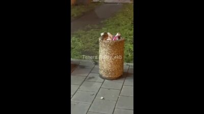 Магазин продуктов в Екатеринбурге атаковали крысы