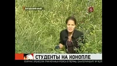 Алтай. Студенты на конопле