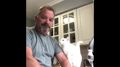 Lily the cat loves her hooman dad
