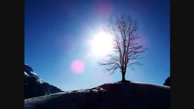 Danny Wright - Canon in D - Black and White(360P).mp4