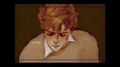 Wolfstar | Sirius Black | Remus Lupin | harry potter