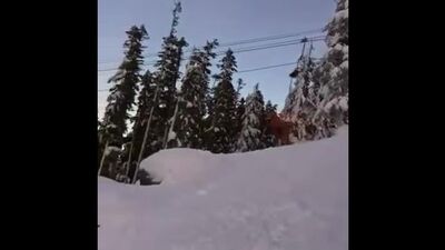Как динозавры вымерли на самом деле
