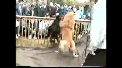 Собачьи бои Алабай против Добермана 