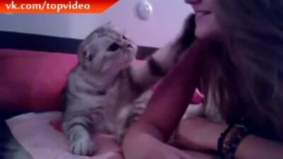 Кот - пикап мастер